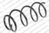 LESJ?FORS 4044257 Coil Spring